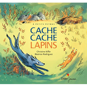 Didier Jeunesse Cache Cache Lapins pas cher