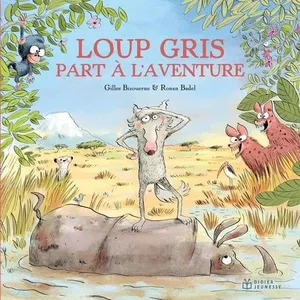 Comparateur de prix : Didier Jeunesse Loup gris part à l'aventure