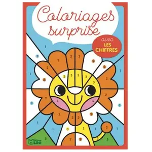 Lito Colo surprise avec les chiffr  Collectif (Auteur), Bérengère Staron (Illustration) pas cher