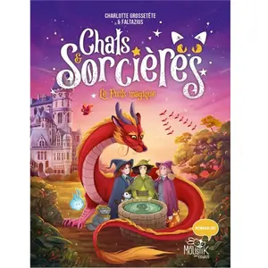 Fleurus Chats & sorcières - Le puits magique pas cher