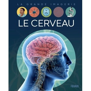 Fleurus Le cerveau pas cher
