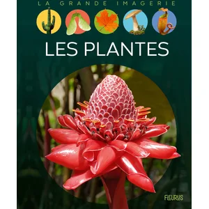 Fleurus Les plantes pas cher