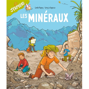 Fleurus Les minéraux pas cher