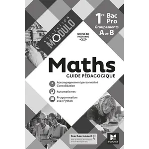 Foucher Maths 1re Bac Pro Groupements A Et B Modulo - Guide Pédagogique pas cher