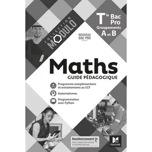 Foucher Maths Tle Bac Pro Groupements A Et B Modulo - Guide Pédagogique pas cher