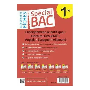 Comparateur de prix : Magnard Spécial Bac Maxi Compil de Fiches contrôle continu 1re Bac 2024