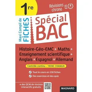 Comparateur de prix : Magnard Spécial Bac Maxi Compil de Fiches contrôle continu 1re Bac 2025 broché