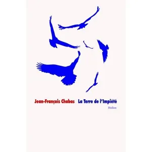 Ecole Des Loisirs La Terre De L'impiété pas cher