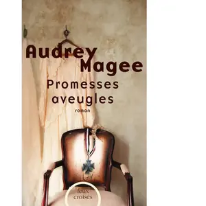 Plon Promesses aveugles Audrey Magee pas cher