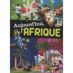 Casterman Aujourd'hui, l'Afrique Marie Joannidis, Ariane Poissonnier pas cher