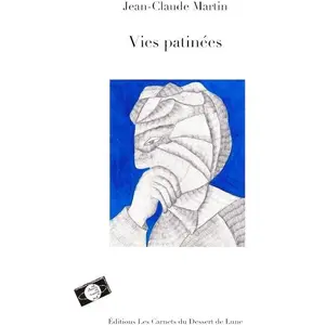 Comparateur de prix : Les Carnets Du Dessert De Lune Vies patinées