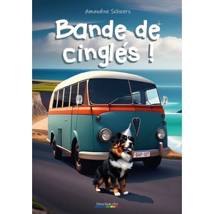 Bande De Cinglés ! pas cher