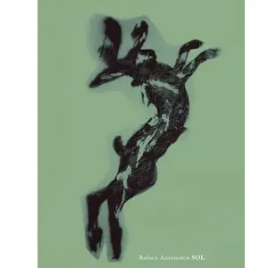 Sol - Raluca Antonescu pas cher