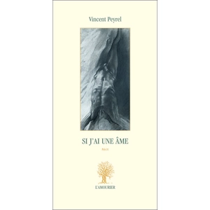 Si j'ai une âme Vincent Peyrel