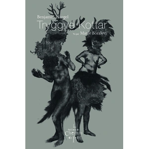Comparateur de prix : Du Chemin De Fer Eds Tryggve Kottar