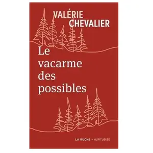 Le Vacarme Des Possibles pas cher