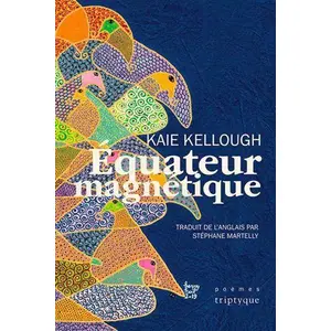 Triptyque Equateur Magnétique pas cher