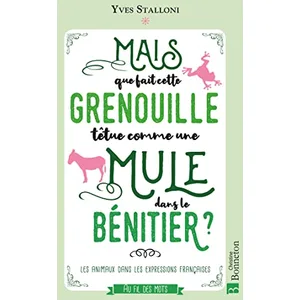 Bonneton Christine Eds Mais que fait cette grenouille têtue comme une mule dans le bénitier ? pas cher