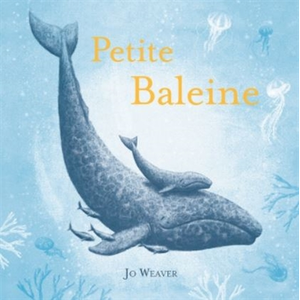 Kaleidoscope Petite baleine pas cher