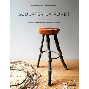 ISBN Hoebeke Sculpter la forêt pas cher
