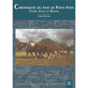 Nouvelles Editions Sutton Chroniques du pays de pont-Aven pas cher