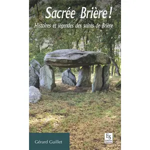 Nouvelles Editions Sutton Sacrée Brière ! pas cher