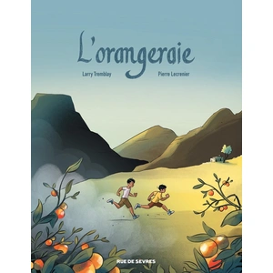 Comparateur de prix : Rue De Sevres L'Orangeraie cartonné