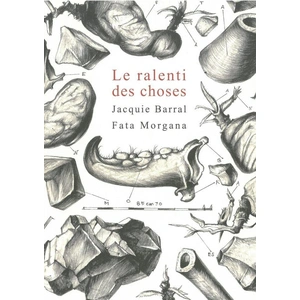 Fata Morgana Le ralenti des choses pas cher