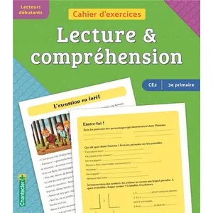 Chantecler Cahier d'exercices lecture & compréhension (CE2 -3e primaire) (vert-bleu) pas cher