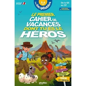 Comparateur de prix : Play Bac Eds Le Premier Cahier De Vacances Dont Tu Es Le Héros - De La Gs Au Cp