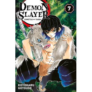 Panini Manga Demon Slayer T07