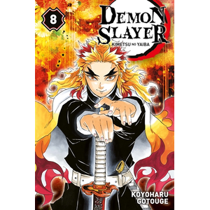 Panini Manga Demon Slayer T08