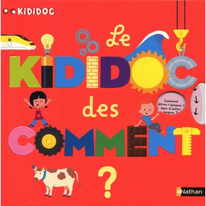 Nathan Le Kididoc des comment ? Sylvie Baussier (Auteur), Didier Balicevic (Illustration) pas cher