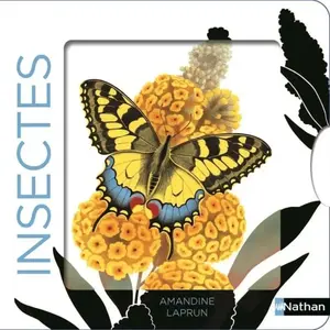 Livres enfant : Nathan Insectes pas cher