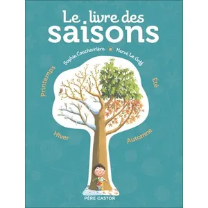 Flammarion Jeunesse Pere Castor Le livre des saisons pas cher