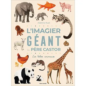 L'Imagier géant du Père Castor pas cher