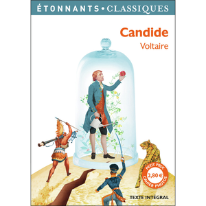 Comparateur de prix : Flammarion Roman - Voltaire - Candide - Voyage à travers différents pays - Leçon d'optimisme