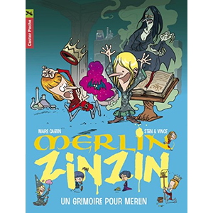 PERE CASTOR Merlin Zinzin Tome 1 : un grimoire pour Merlin pas cher