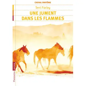 Cheval fantome Tome 3 - une jument dans les flammes pas cher
