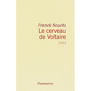 Flammarion Le cerveau de Voltaire Franck Nouchi pas cher
