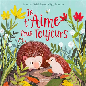 Larousse Je t'aime pour toujours pas cher