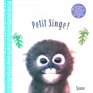 Larousse Bonne nuit petit singe pas cher