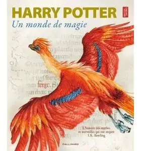 ISBN Harry Potter, un monde de magie pas cher