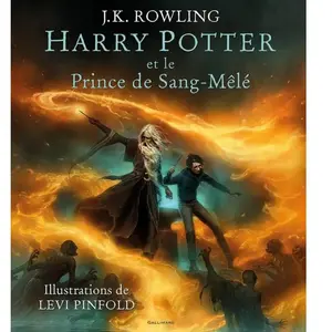 Comparateur de prix : Harry Potter et le Prince de sang mêlé