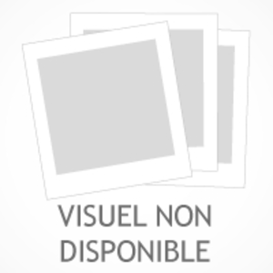 ISBN Gallimard jeunesse L'extraordinaire chapeau d'Emilie Satoshi Kitamura pas cher