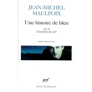 Gallimard Une histoire de bleu/L'instinct de ciel