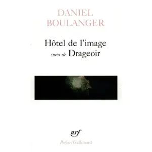 ISBN Gallimard Hôtel de l'image / Drageoir pas cher