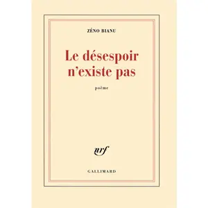 Gallimard Le désespoir n'existe pas pas cher