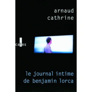 Verticales Le Journal Intime De Benjamin Lorca pas cher
