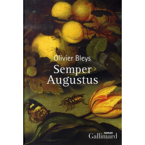 Gallimard Semper Augustus pas cher